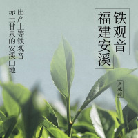 好望水白桃铁观音500ml*9瓶0脂0卡无糖茶饮料果味风味茶