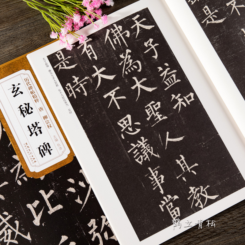 唐柳公权玄秘塔碑 柳体历代碑帖精粹 简体旁注 楷书碑帖毛笔字帖柳公权玄秘塔 书法古帖成人楷书初学者入门临摹高清大图