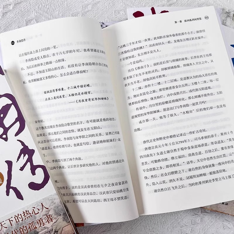 杜甫传 [正版]6册 杜甫传 苏东坡传 白居易传 李商隐传 陶渊明传 王维传 现实主义古典文学经典 诗人传记历史人物诗传高清大图