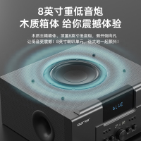 先科(SAST)A16家庭影院套装5.1家庭影院音响套装家用电视客厅壁挂落地音箱 (落地点歌机套装)