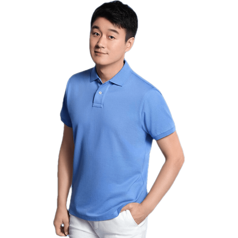 布先生佟大为明星同款t恤春夏季短袖polo衫男中年商务休闲衣服纯色