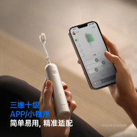 徕芬Laifen 扫振电动牙刷铝合金款 莱芬深度清洁护龈款 小家电国家补贴 情人节生日礼物 LFTB01-A颜色随机