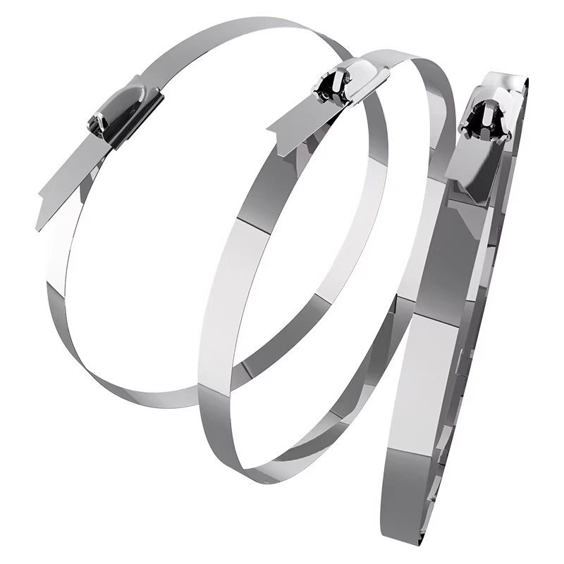 迦毅304不锈钢扎带4.6x250mm根高清大图