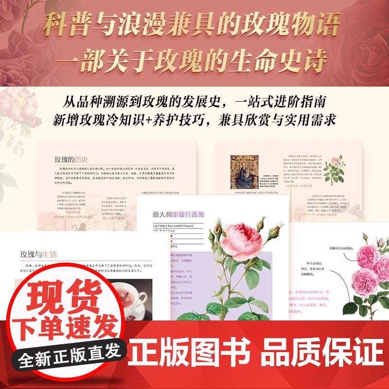 玫瑰全书(限量编码版) 吕影著 收藏鉴赏专业科技 吉林美术出版社高清大图