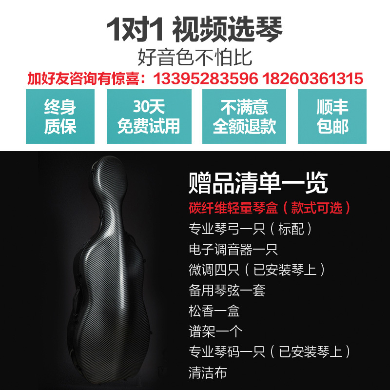 克莉丝蒂娜 Christina SC500进口欧料专业演奏考级睡美人大提琴