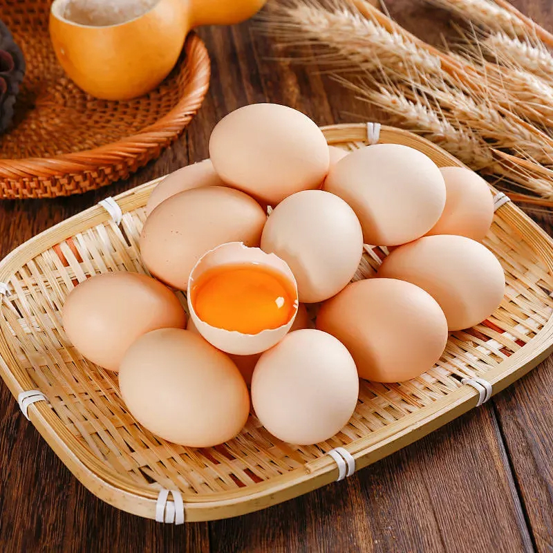 [熊猫鸟]新鲜虫草鸡蛋 20枚装 农家散养新鲜正宗草鸡蛋笨柴鸡蛋孕妇月子蛋整箱