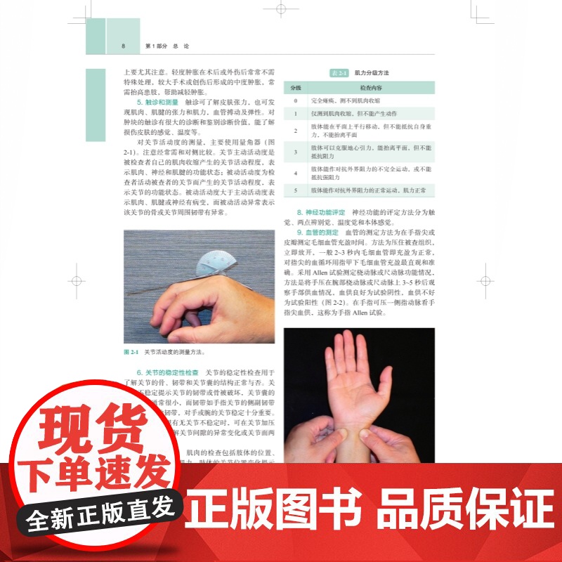 手外科经典方法与现代技术 内容丰富解说精良纲领性手外科专著上海科学技术出版社骨科手外科学高清大图