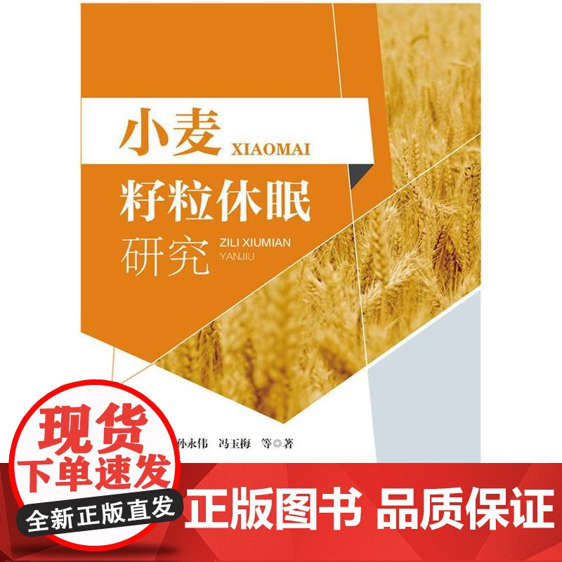 正版 小麦籽粒休眠研究 杨燕 孙永伟 冯玉梅主编 中国农业大学出版社店9787565532146高清大图