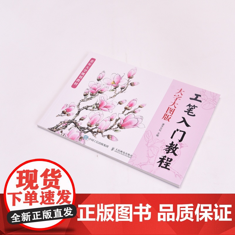 工笔入门教程 大字大图版 正统工笔花鸟技法入门基础教程书中老年人学国画中国工笔画稿白描勾线上色涂色花鸟技法入门临摹高清大图