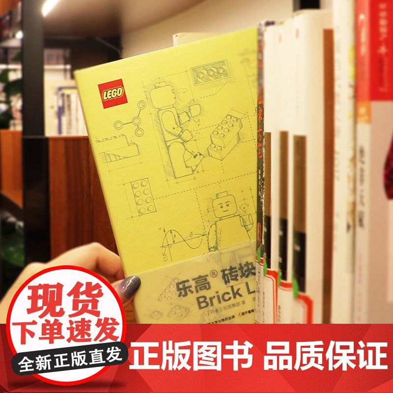 乐高 砖块人生Brick Life 带玩具 6块乐高2*4砖块有9亿多种拼法 你的人生却有无限可能 记录生活日常 实现