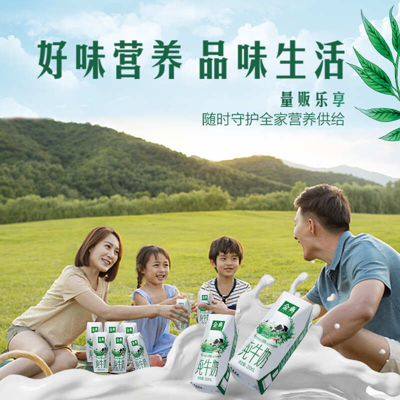 伊利金典纯牛奶整箱 250ml*16盒 3.6g乳蛋白 早餐伴侣 年货送礼