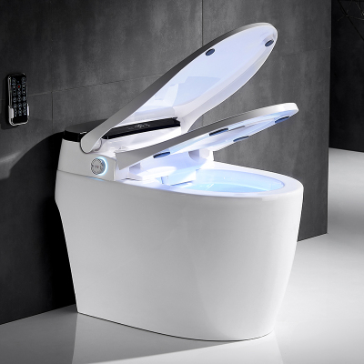 女生臀部清洗坐便马桶全自动翻盖清洗加热烘干无水箱一键旋钮座温调节