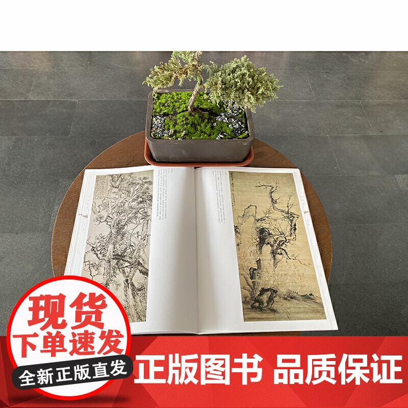 人美画谱?李?高清大图