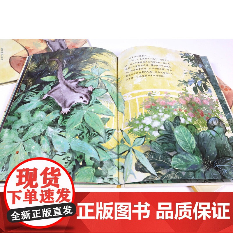 小飞鼠和它的朋友高清大图