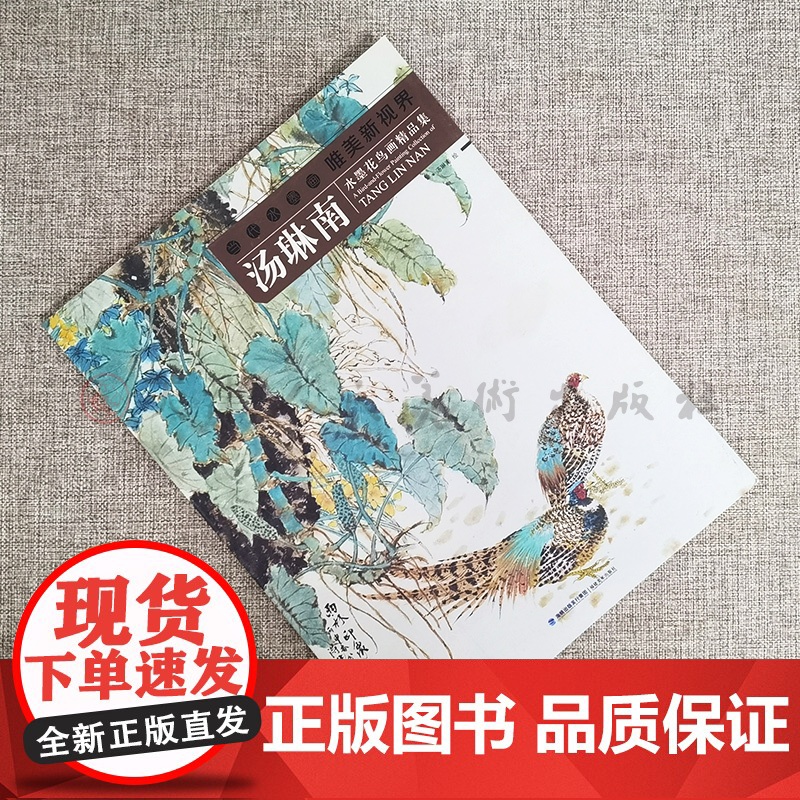 汤琳南 当代水墨画唯美新视界 水墨花鸟画册工笔画白描底稿画谱 国画写意画孔雀工笔画白描技法临摹范本 初学者绘画美术入门高清大图