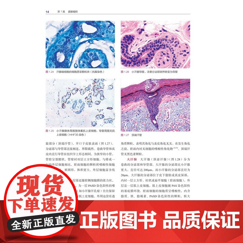 病理医师实用组织学 第5版高清大图