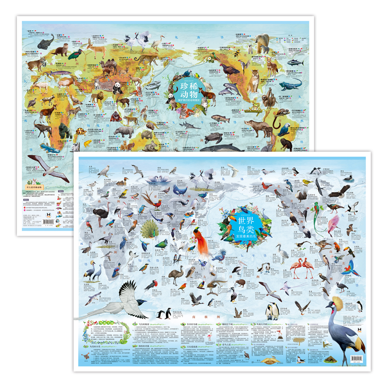[正版]2张珍稀动物世界鸟类墙贴儿童房大尺寸少儿地图纸质版儿童地理启蒙知识卡通益智科普百科画小学生趣味地图 教孩子认识了高清大图