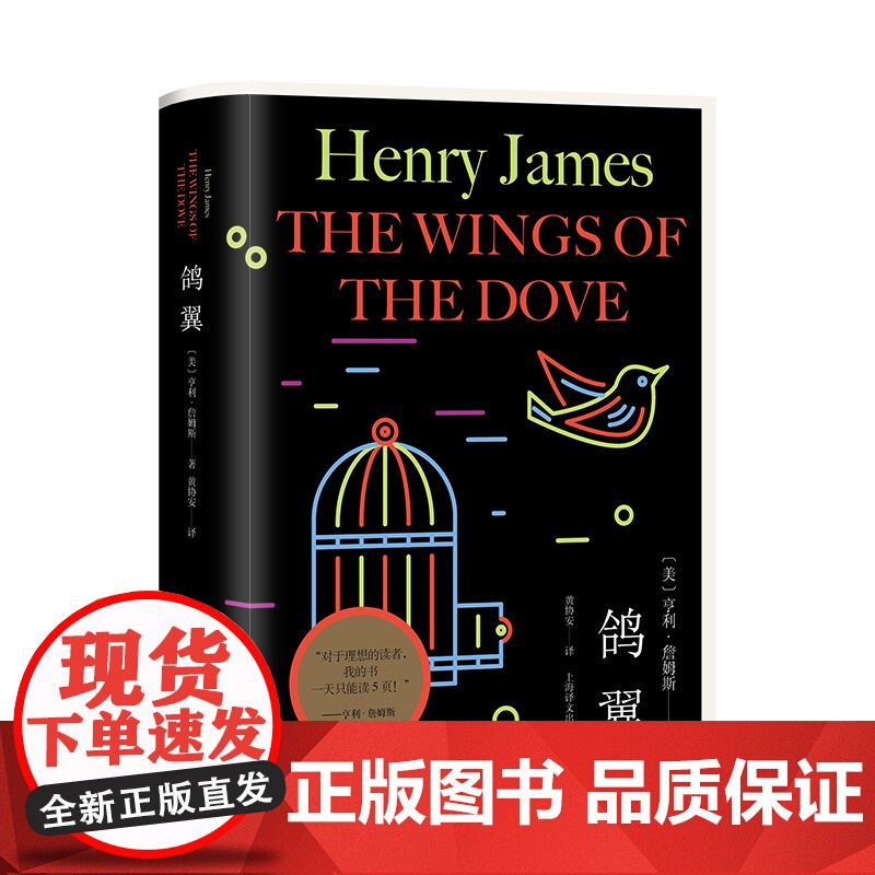 鸽翼 [美]亨利·詹姆斯 黄协安 译 意识流 心理分析 “国际主题”的小说 小说艺术 上海译文出版社 正版高清大图