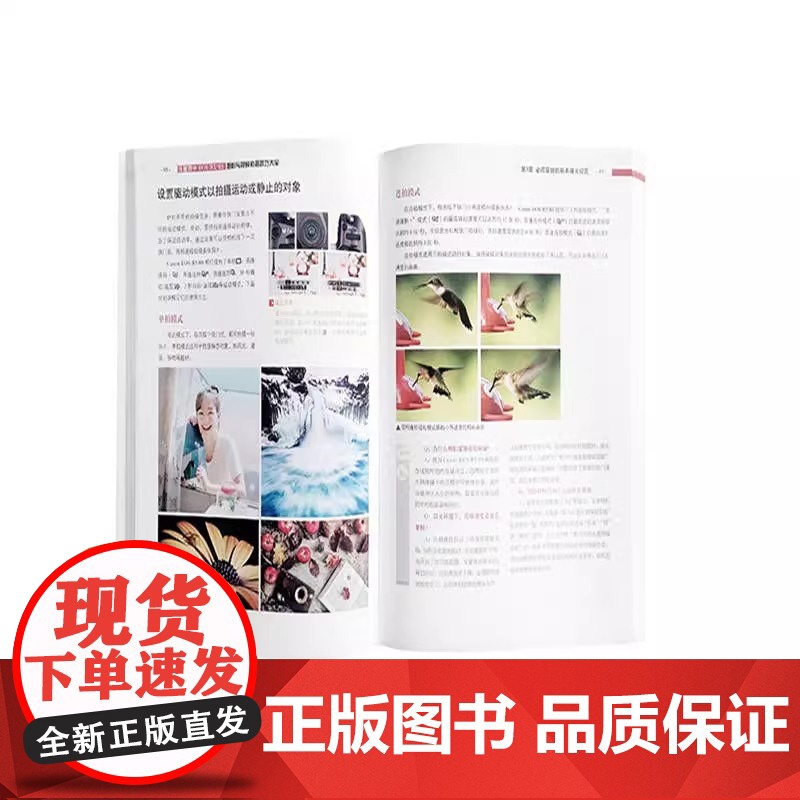 佳能微单EOS R5/R6摄影与视频拍摄技巧大全 雷波 总结使用经验和技巧为读者制定问题解决方案 化学工业出版社 正版书高清大图
