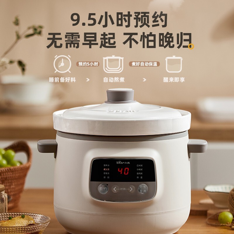 小熊(Bear) 电炖锅电炖盅炖盅炖汤锅3L容量可预约多功能白瓷内胆 DDG-D30H5