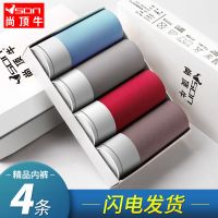 冰丝内裤男士平角裤男生简约四角透气莫代尔感学生青年裤头2-4条