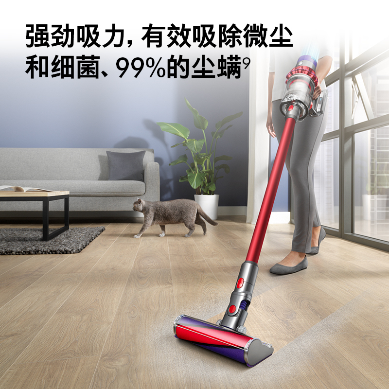 戴森(Dyson)无绳吸尘器 V10 Fluffy Extra 手持吸尘器家用桌面除螨宠物充电多功能家庭适用[官方正品]