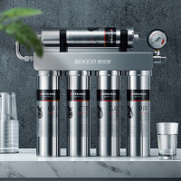 德克西(DEKEXI)净水器德国进口净水器家用直饮自来水龙头前置过滤器厨房不锈钢纯水过滤器净水机Q1-1