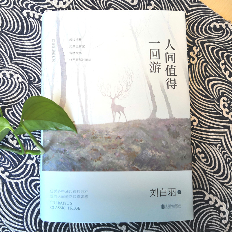 醉染图书人间值得一回游 刘白羽经典散文9787559650016高清大图