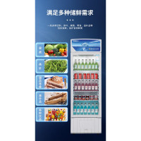 星星(XINGX)LSC-373GB商用冰柜立式玻璃门展示柜超市饮料陈列柜单门冷柜冷藏保鲜柜便利店啤酒饮料柜