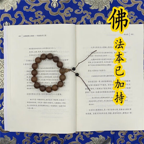 《印》金刚密乘大yuian满~突破轮回之道 丹贝旺旭仁波切高清大图