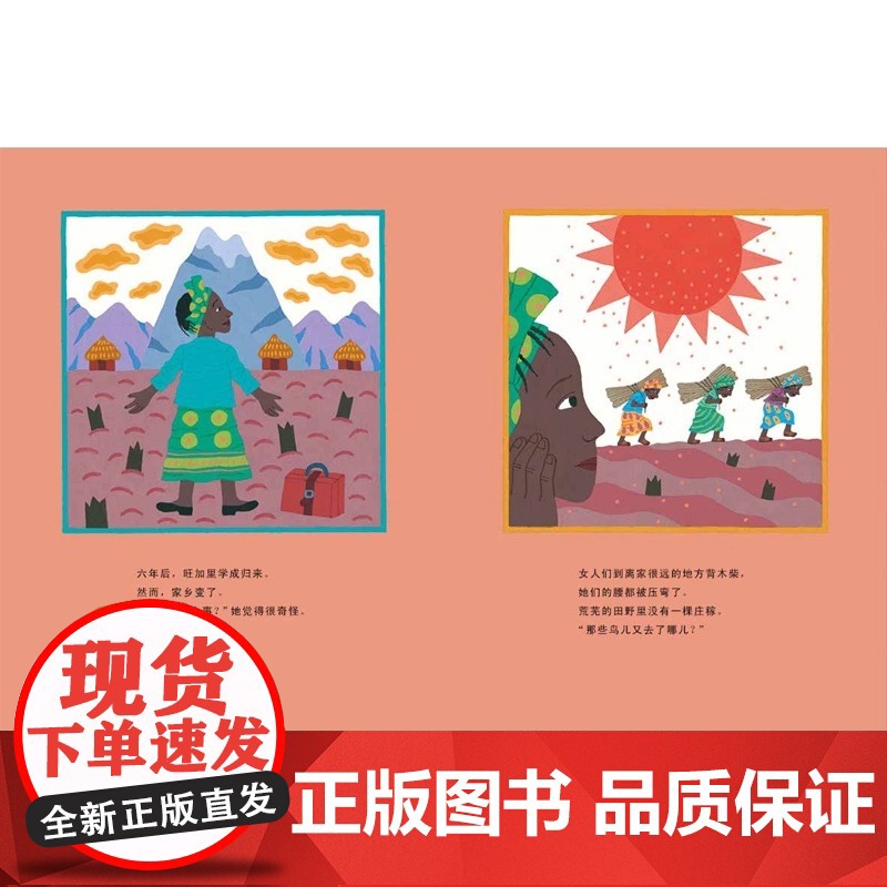 经典正版传记绘本 和平树 一个来自非洲的真实故事 花婆婆绘本 天空在脚下 雪花人 鞋子里的盐 0-2-3-6-8-9周岁高清大图