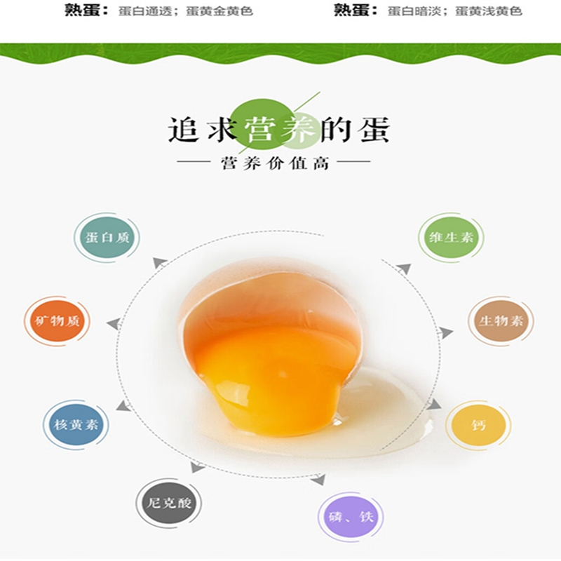 京食富硒鸡蛋礼盒(8枚)生鲜鸡蛋新鲜礼品节日送礼过节送礼高清大图