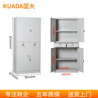 匡大铁皮文件柜办公资料柜铁中二斗钢柜
