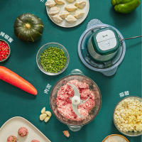 乐扣乐扣绞肉机家用电动小型多功能料理机辣椒搅拌打肉馅机 EJM175绞肉机