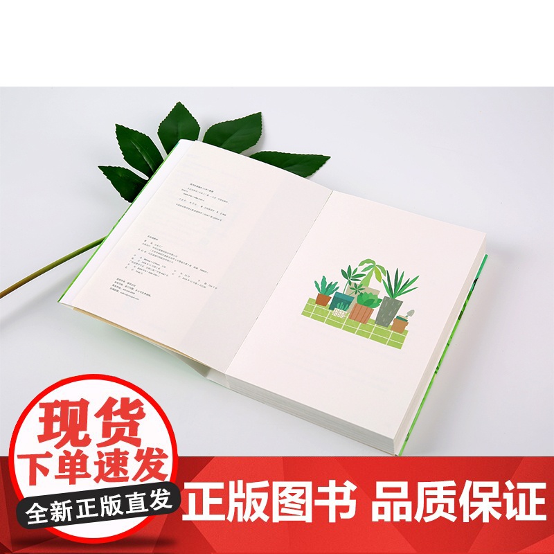 天台饲养间 云朵工厂 著 教你从零开始学会照料植物 轻松养好植物的简指南 中信出版社图书 正版书籍高清大图