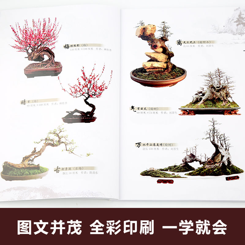 图解树木盆景制作与养护 [正版]图解树木盆景制作与养护 附石盆景盆栽树木盆景造型设计栽培书籍高清大图