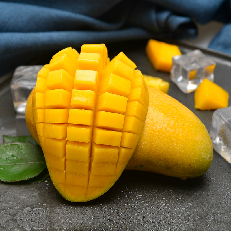 (需催熟)广西百色金煌芒果5斤大果(单果300-400g)新鲜水果整箱当季现摘大果生鲜自营新鲜大芒果热带水果甜心芒高清大图