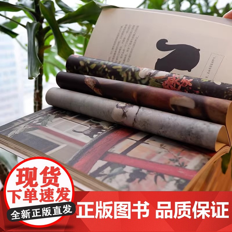 [央视网]小日子 欠削吧 木头 木工雕刻书 手工DIY木工小工具QD木雕木工制作摆件物件 零基础初学者雕刻入门指南小饰品高清大图