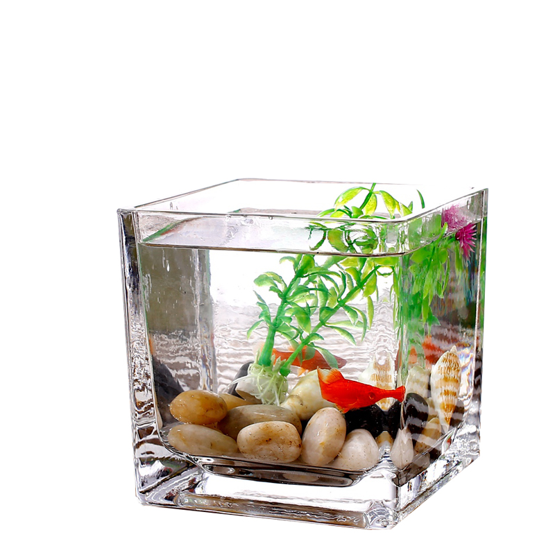 方形鱼缸透明玻璃水培植物小型金鱼缸客厅迷你缸桌面办公桌小鱼缸高清大图