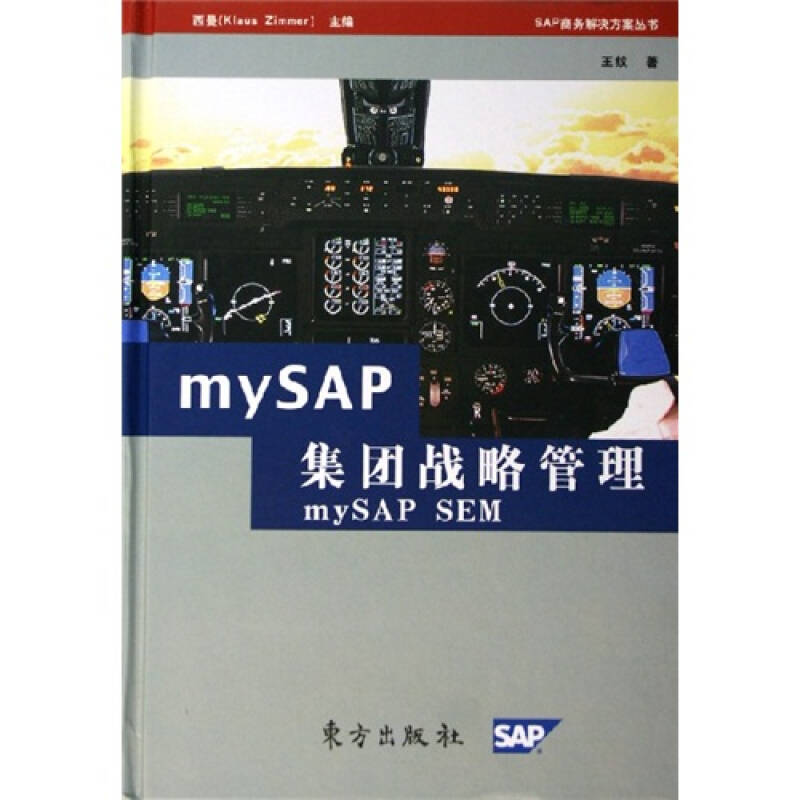 正版新书】MYSAP集团战略管理王纹9787506023801