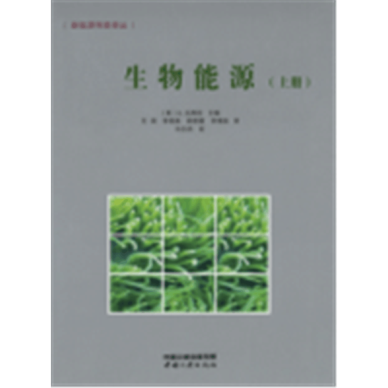醉染图书生物能源(上册)9787802784图片