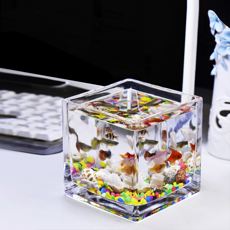 小鱼缸水族箱客厅小型桌面米妮创意家用水晶玻璃生态迷你金鱼缸方形