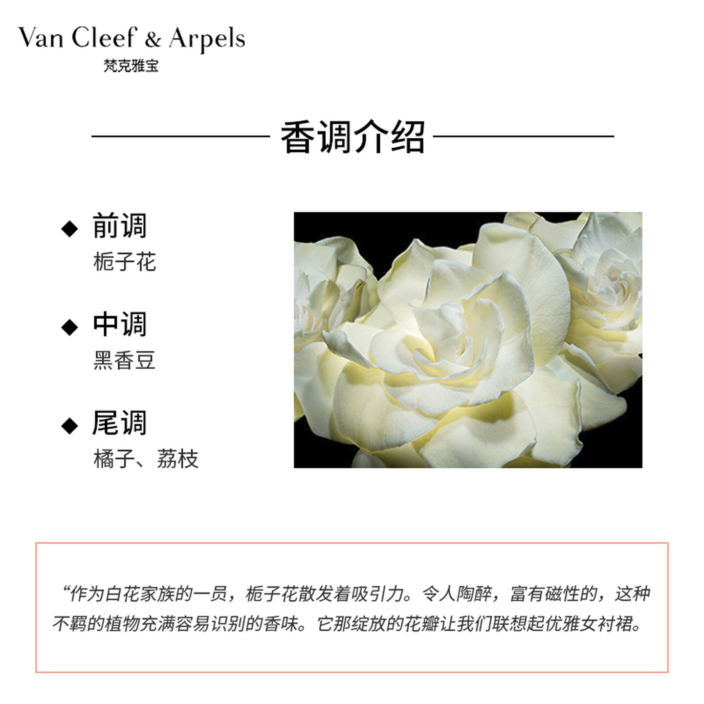 梵克雅宝非凡珍藏系列栀子花瓣香水75ml高清大图