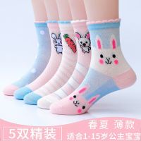 女童袜子夏薄款儿童透气春秋款童袜薄袜夏季小孩女春夏宝宝公主袜 萝卜兔网眼薄款[5双装] 3-5岁[脚长14-16cm]