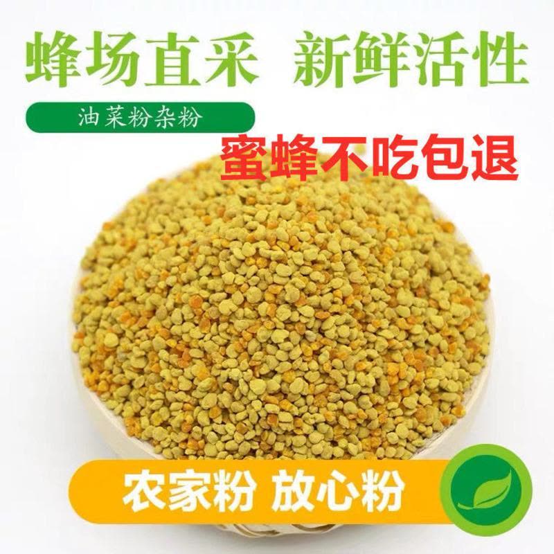 花粉养蜂中蜂油菜杂粉蜜蜂饲料密蜂粮养蜜蜂喂蜂蜂粮蜜蜂饲料 油菜花粉末一斤装【试用装无赠品优惠】图片