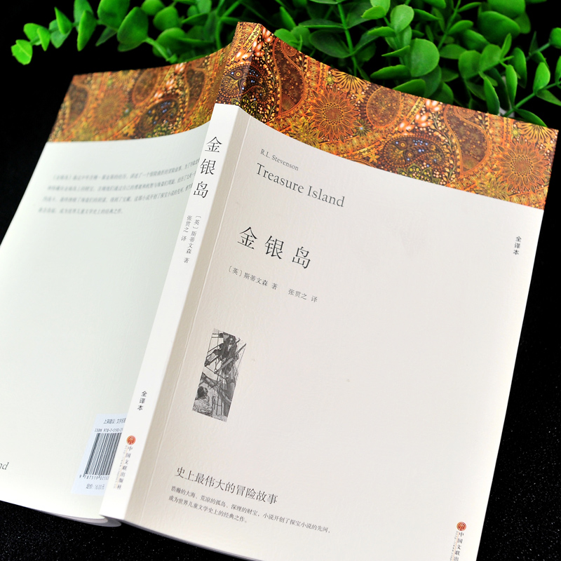[正版]218页完整版 金银岛 原著无删减 史蒂文森 中国文联出版社 世界经典名著书籍小学生初中生五年级四年级六年级青高清大图