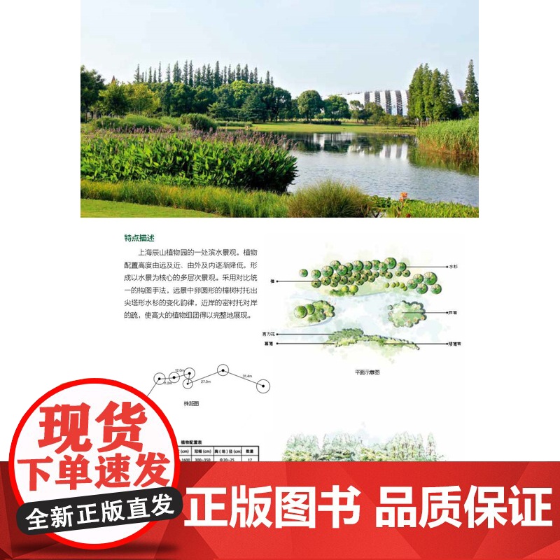 图解景观设计:100个经典植物配置 植物配置方案全解附手绘原图平立面图+株距图配置方案与数据实操深度解读方案高清大图