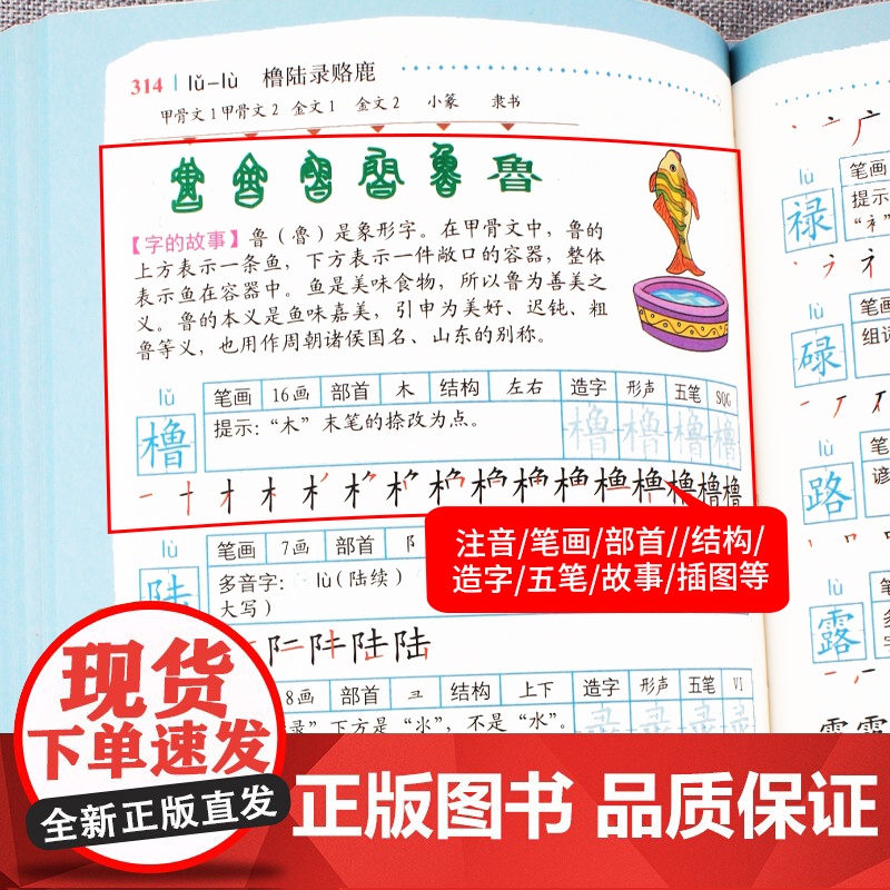 小学生多功能笔顺规范字典小学生专用全笔顺写字组词规范字典工具书彩图版大字本崇文书局现代汉语新华高清大图