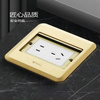 公牛(bull) 阻尼五孔地插 GD8(推拉式/金色)
