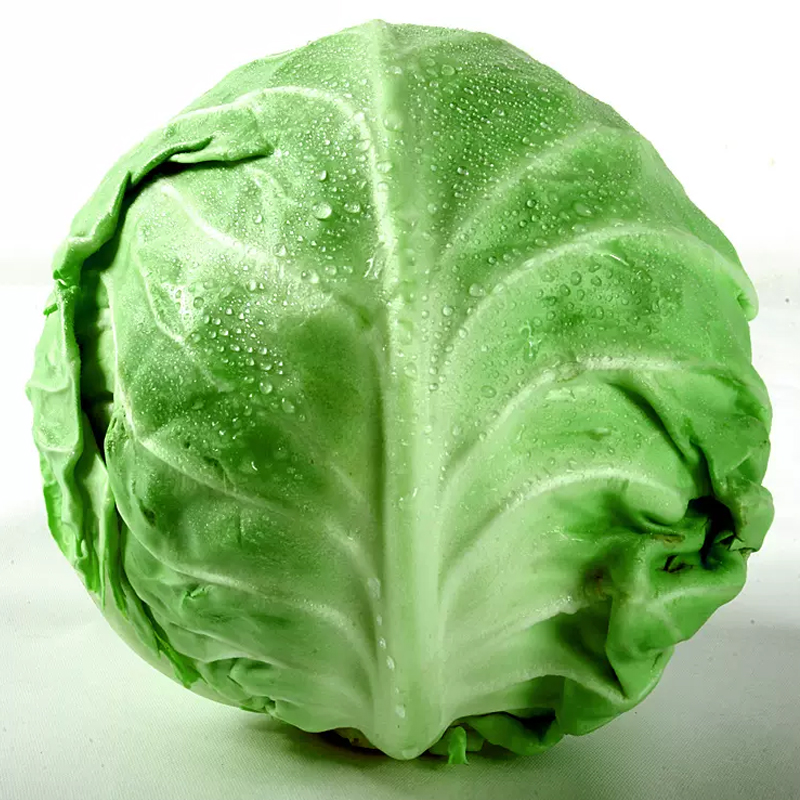 [西沛生鲜]新鲜包菜 净重2.5斤 农家自种甘蓝菜圆白菜当季蔬菜卷心包心菜高清大图